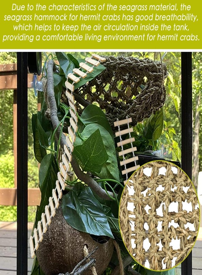Niuohoy Hermit Crab Climbing Toys Set, Seagrass Hammocks Reptile Ladder Bridge Set Ornamental Fake Grass, Hermit Crab Habitat Tank Accessories, Also for Lizard Hamster Guinea Pig Rats - Image 5